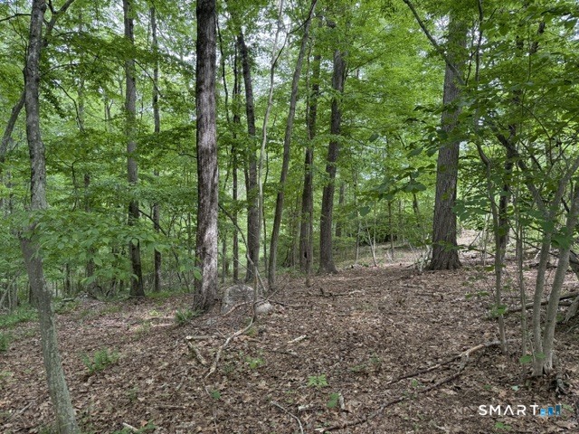 Lot10-b1 Foot Hills Road Higganum, CT 06441 - Photo 22 of 33 a view of a forest with trees