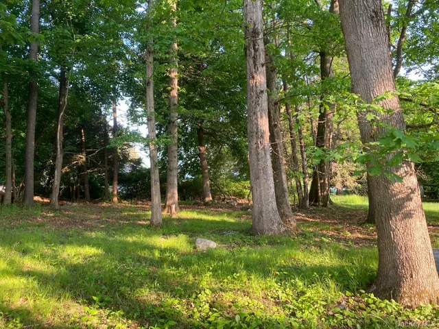 $250,000 | 51 Wileman Avenue, Montgomery, NY 12586