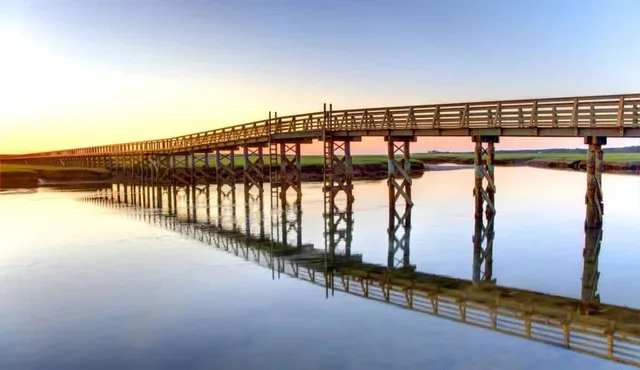 a view of beach and ocean