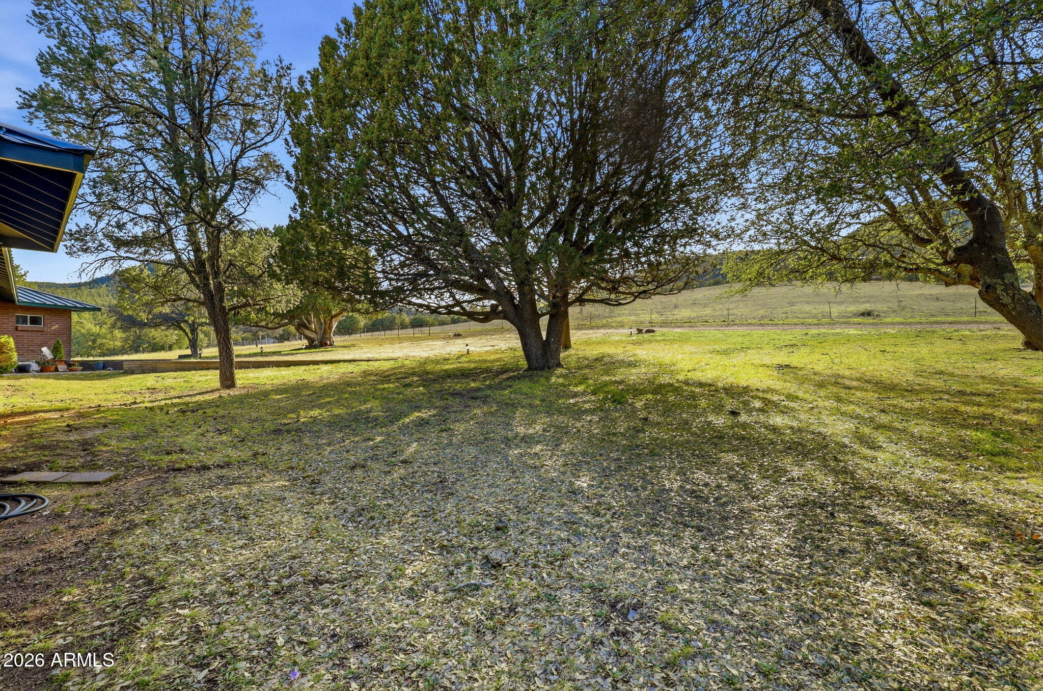 133 South Mule Track Road Young, AZ 85554 - Photo 54 of 65 Front Yard Lkg SW