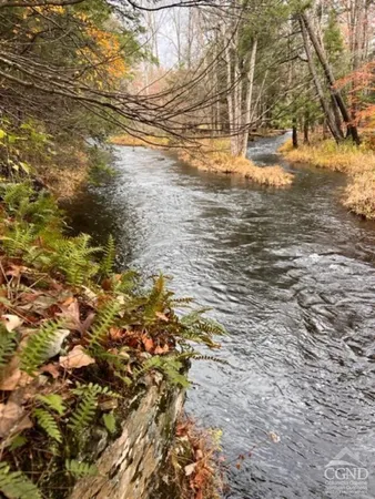 $69,000 | 91 Laurie Lane, Earlton, NY 12058