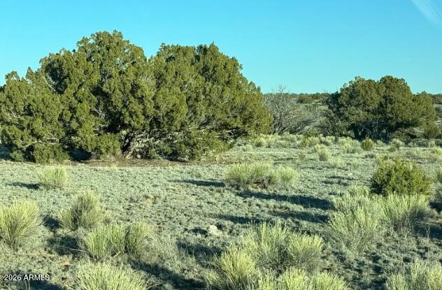 910 County Road St. Johns, AZ 85936 - Photo 9 of 12 910 County Rd N6657