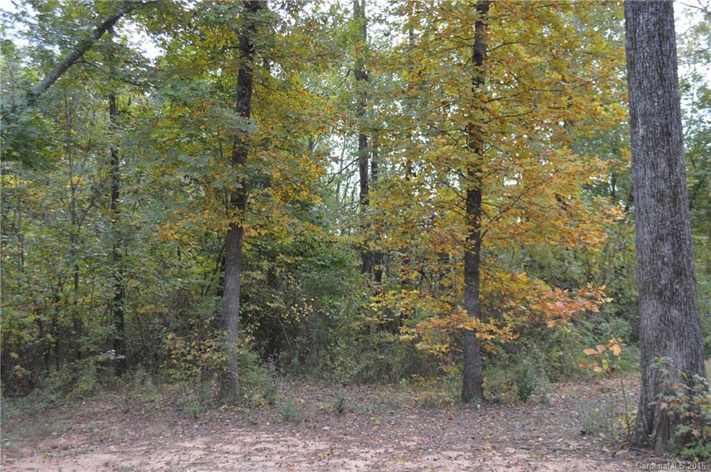 466 Mason Dickson Road York, SC 29745 - Photo 23 of 24