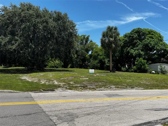 a view of a yard with a large trees