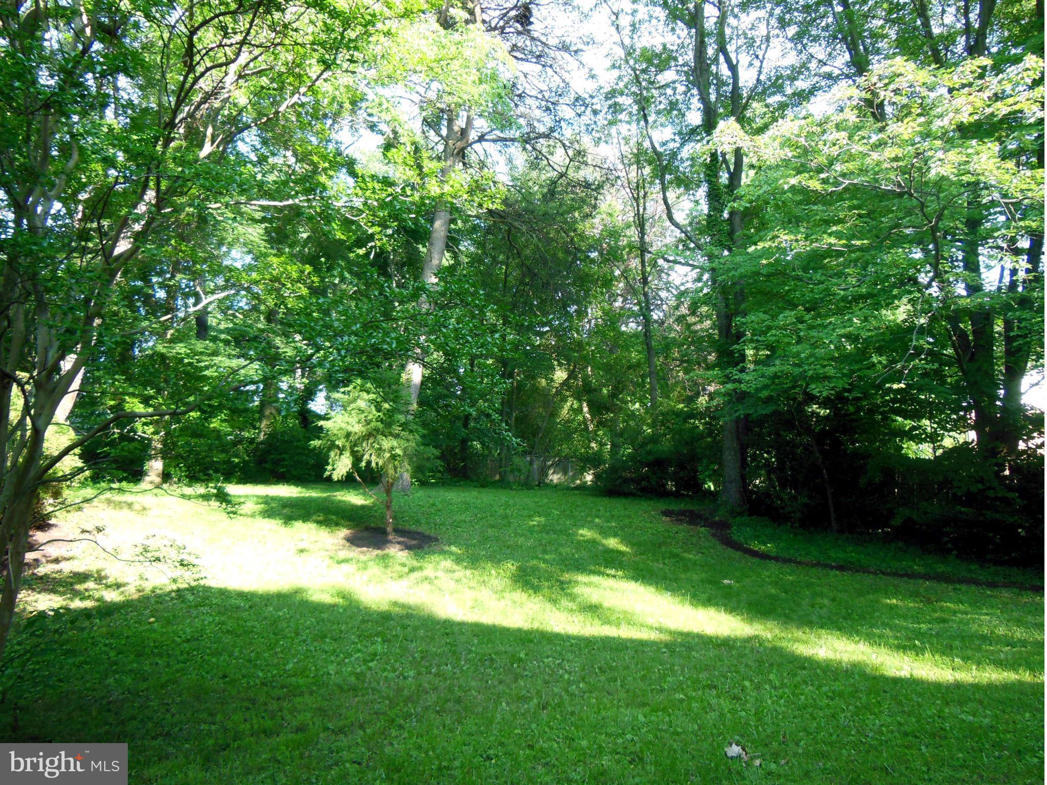 6506 Winnepeg Road Bethesda, MD 20817 - Photo 3 of 30 Backyard