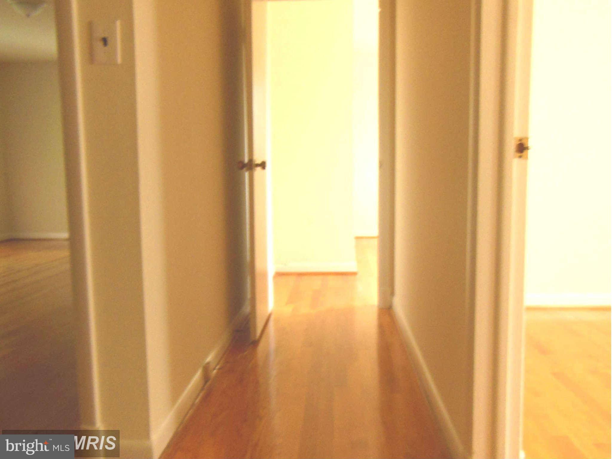 6506 Winnepeg Road Bethesda, MD 20817 - Photo 25 of 30 Top Level Bedrooms
