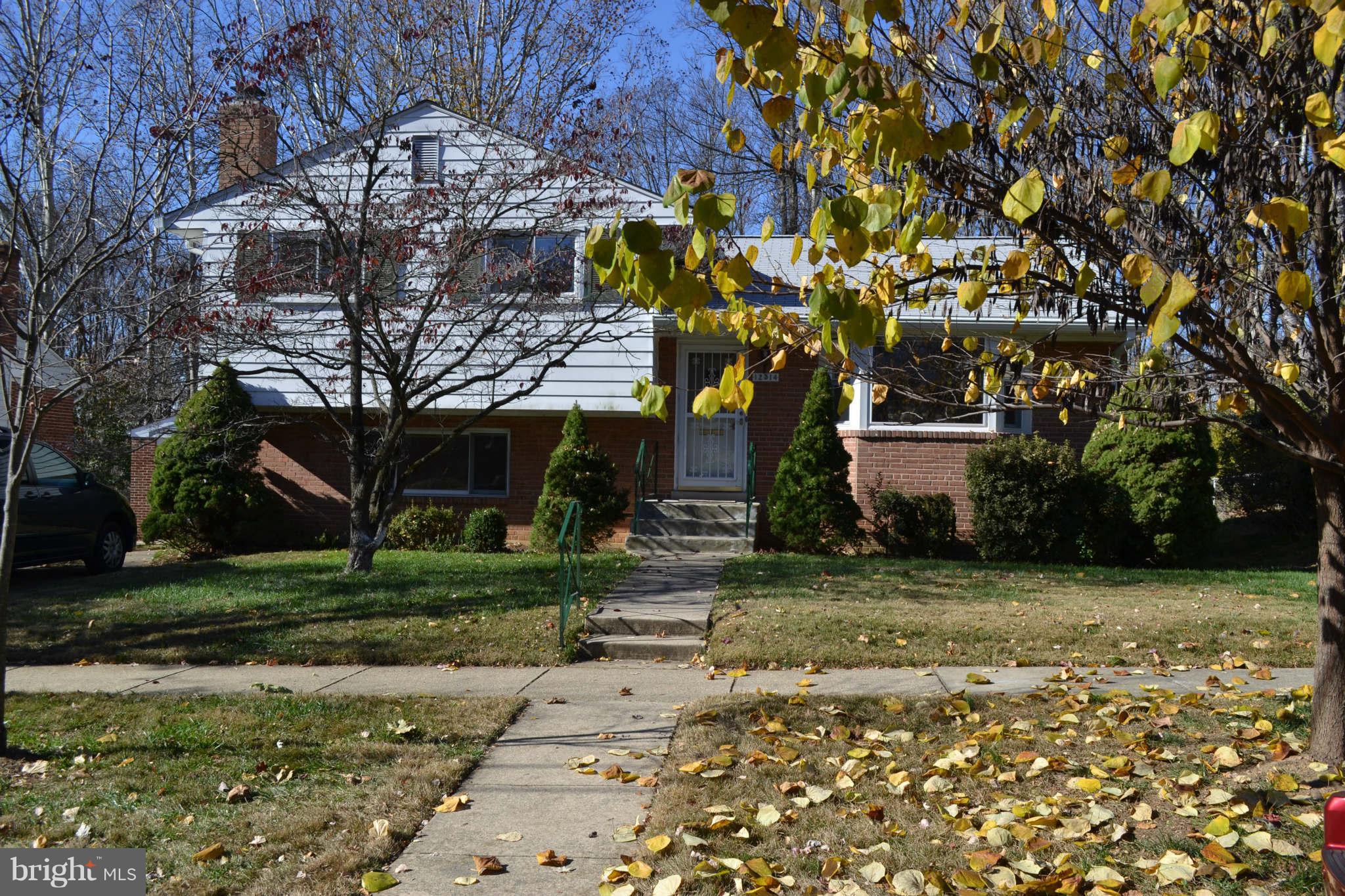 a tree in a yard next to a building