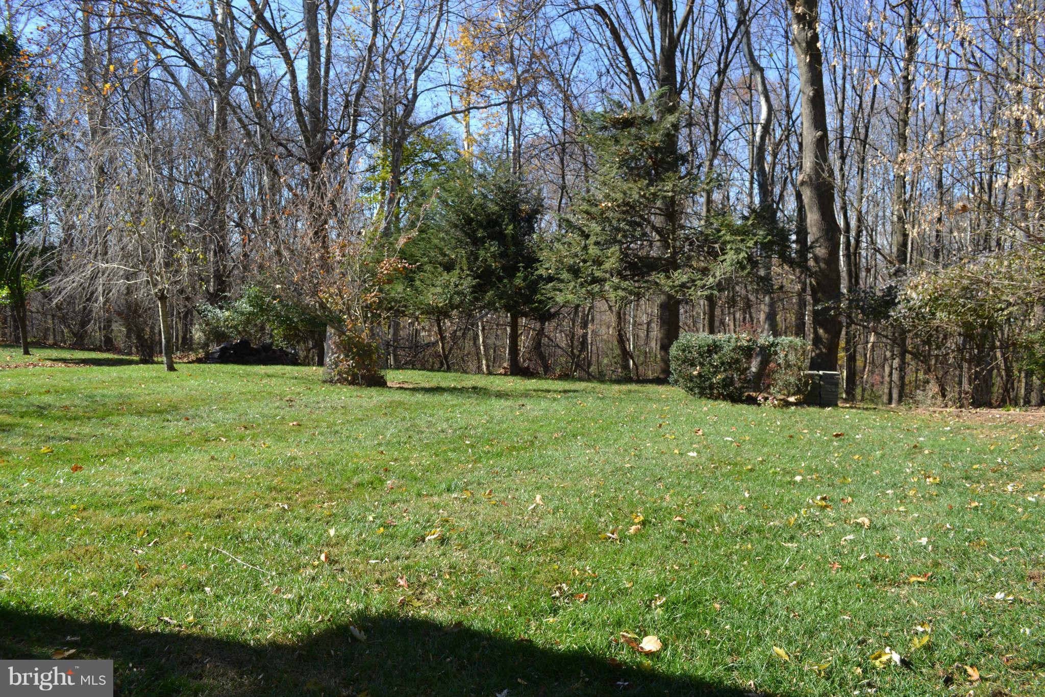 12514 Littleton Street Silver Spring, MD 20906 - Photo 28 of 29 a view of a garden