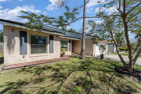 front view of a house with a large tree