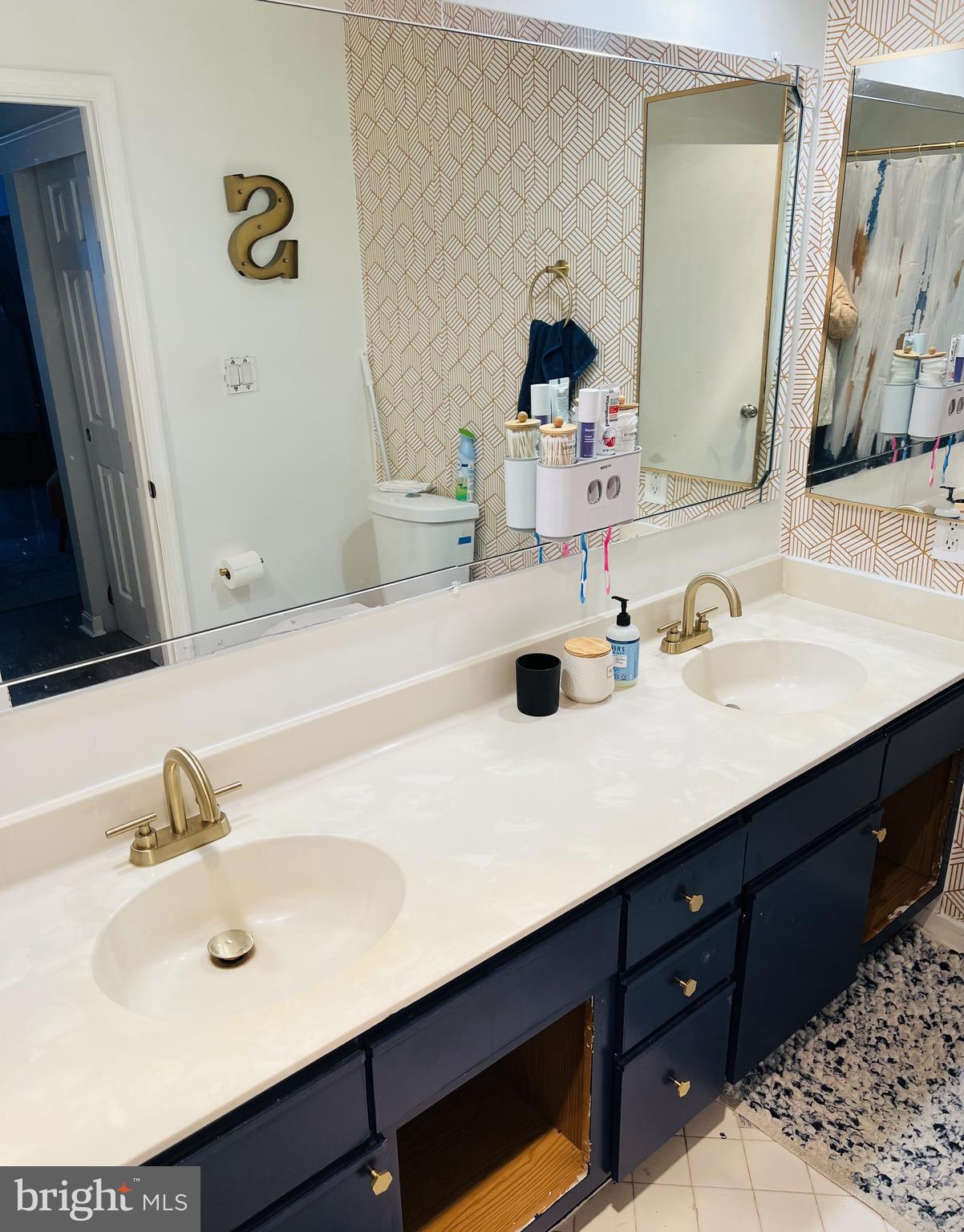 13703 Modrad Way, Unit 9B11 Silver Spring, MD 20904 - Photo 11 of 16 Primary Bath