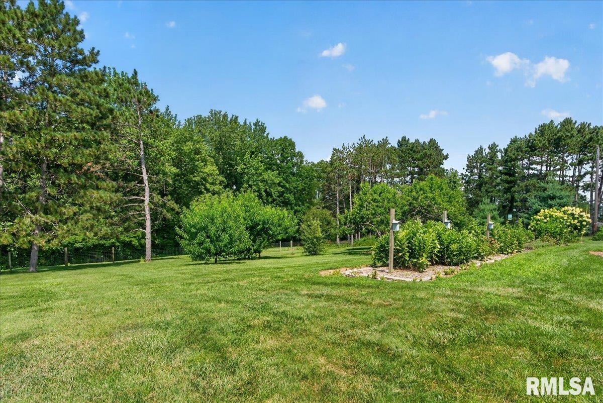 2033 McQueen Road New Berlin, IL 62670 - Photo 25 of 63 Gallery Image 25