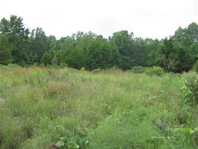 4141 London Road Mansfield, MO 65704 - Photo 1 of 1 Primary Photo