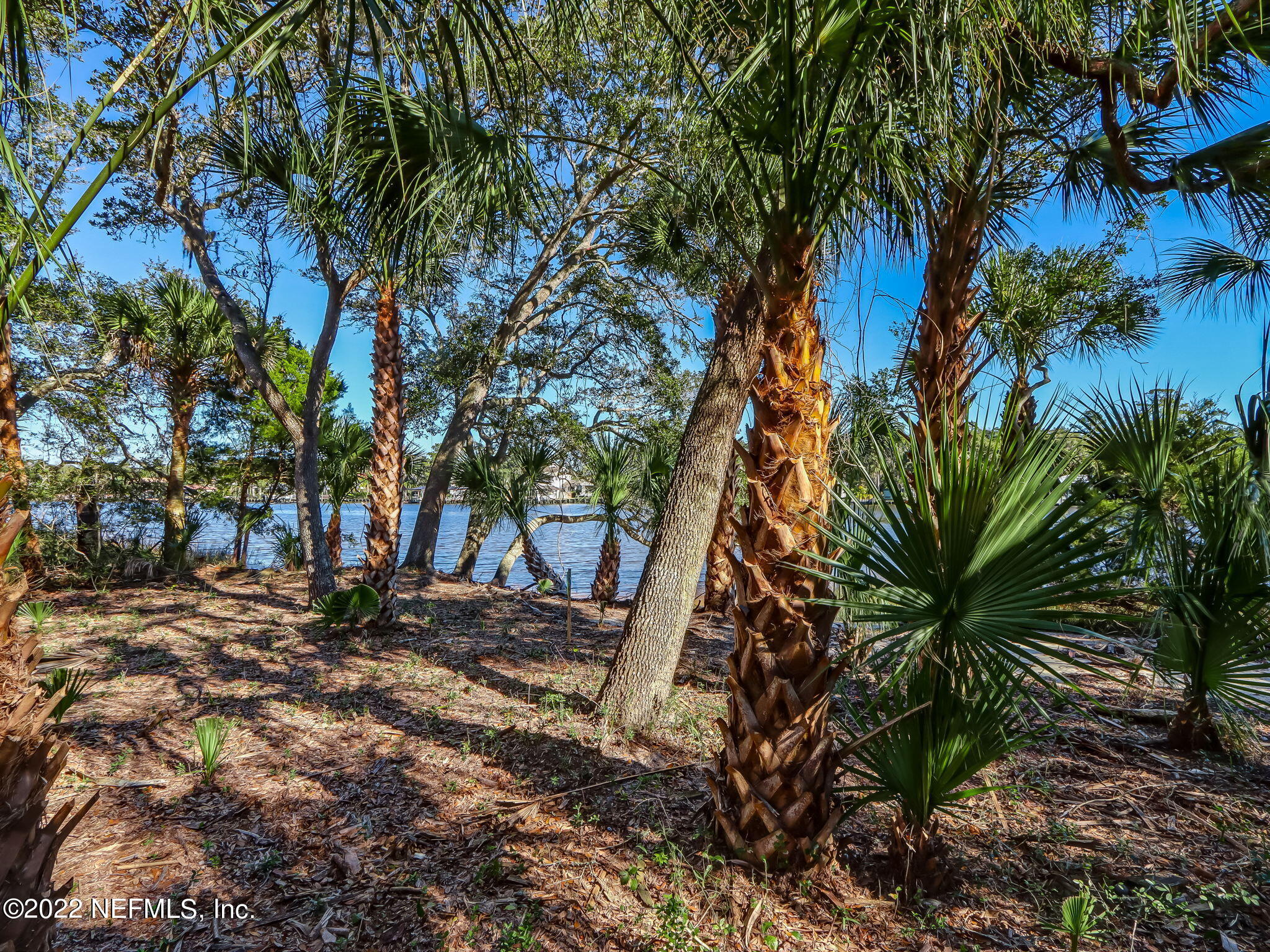217 Shell Ridge Lane Ponte Vedra, FL 32081 - Photo 11 of 29 14-web-or-mls-14_River Landing Lot 52 Hi