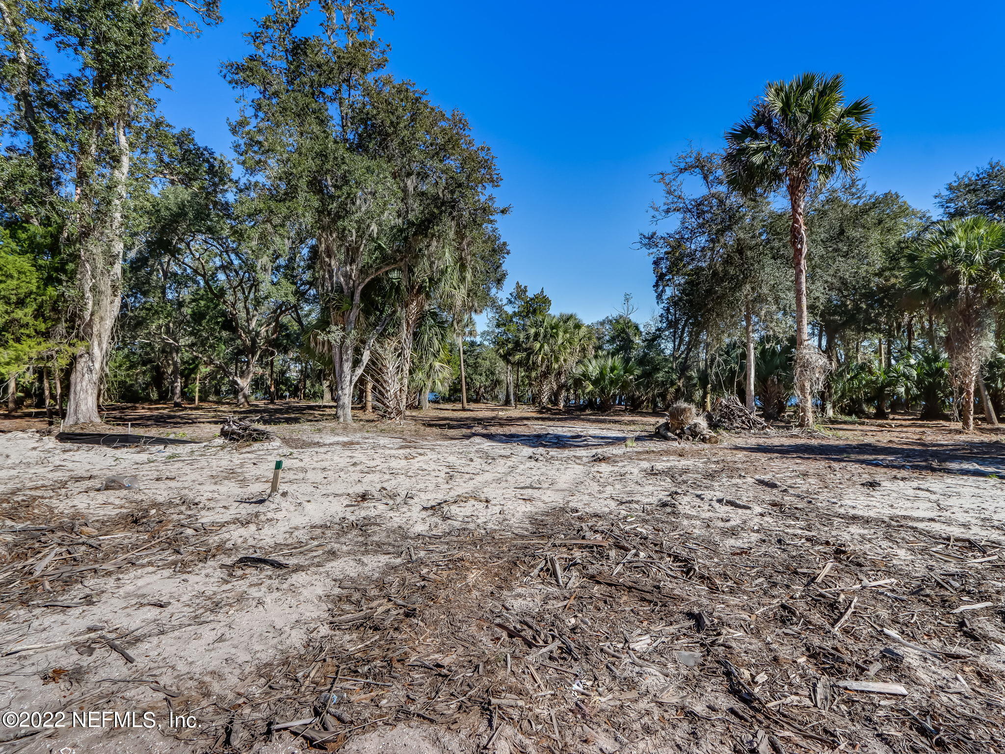 217 Shell Ridge Lane Ponte Vedra, FL 32081 - Photo 8 of 29 10-web-or-mls-10_River Landing Lot 52 Hi