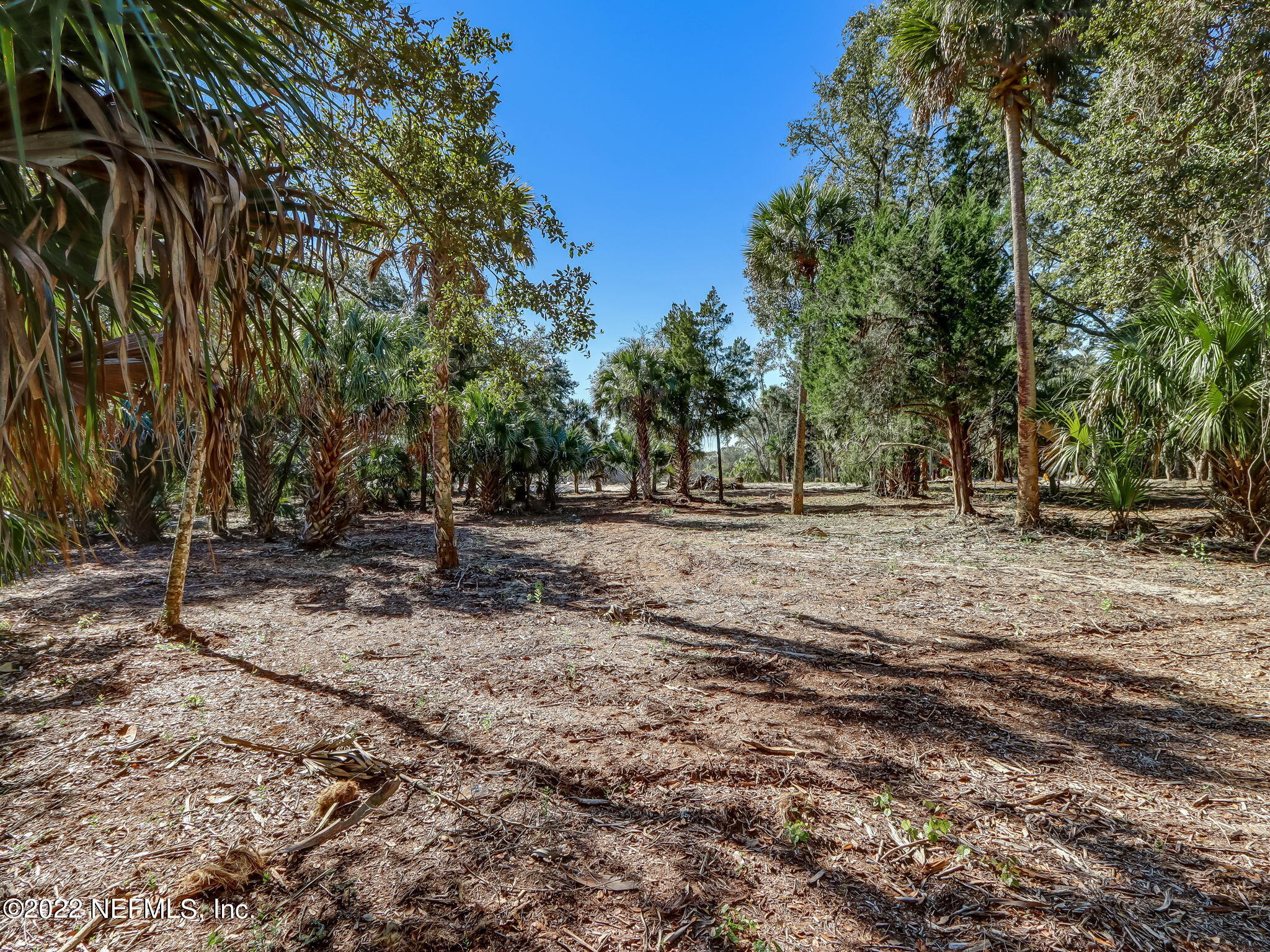 217 Shell Ridge Lane Ponte Vedra, FL 32081 - Photo 9 of 29 12-web-or-mls-12_River Landing Lot 52 Hi