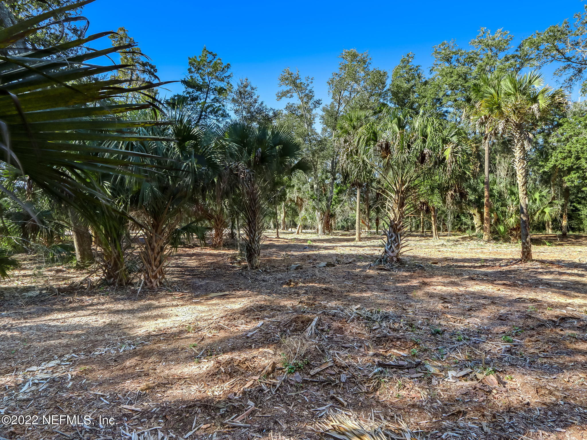 217 Shell Ridge Lane Ponte Vedra, FL 32081 - Photo 10 of 29 13-web-or-mls-13_River Landing Lot 52 Hi