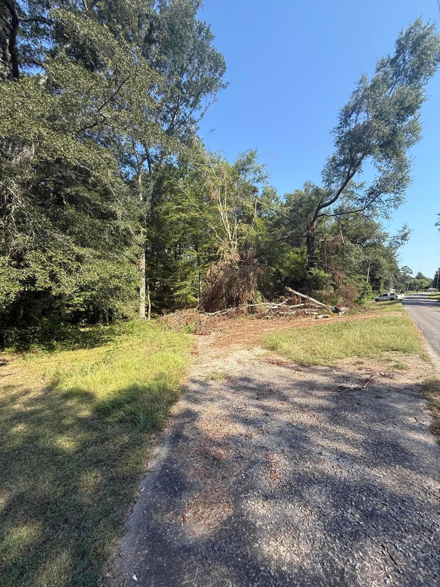 Lamon Chapel Loop Jasper, AL 35503 - Photo 2 of 5 IMG_2268