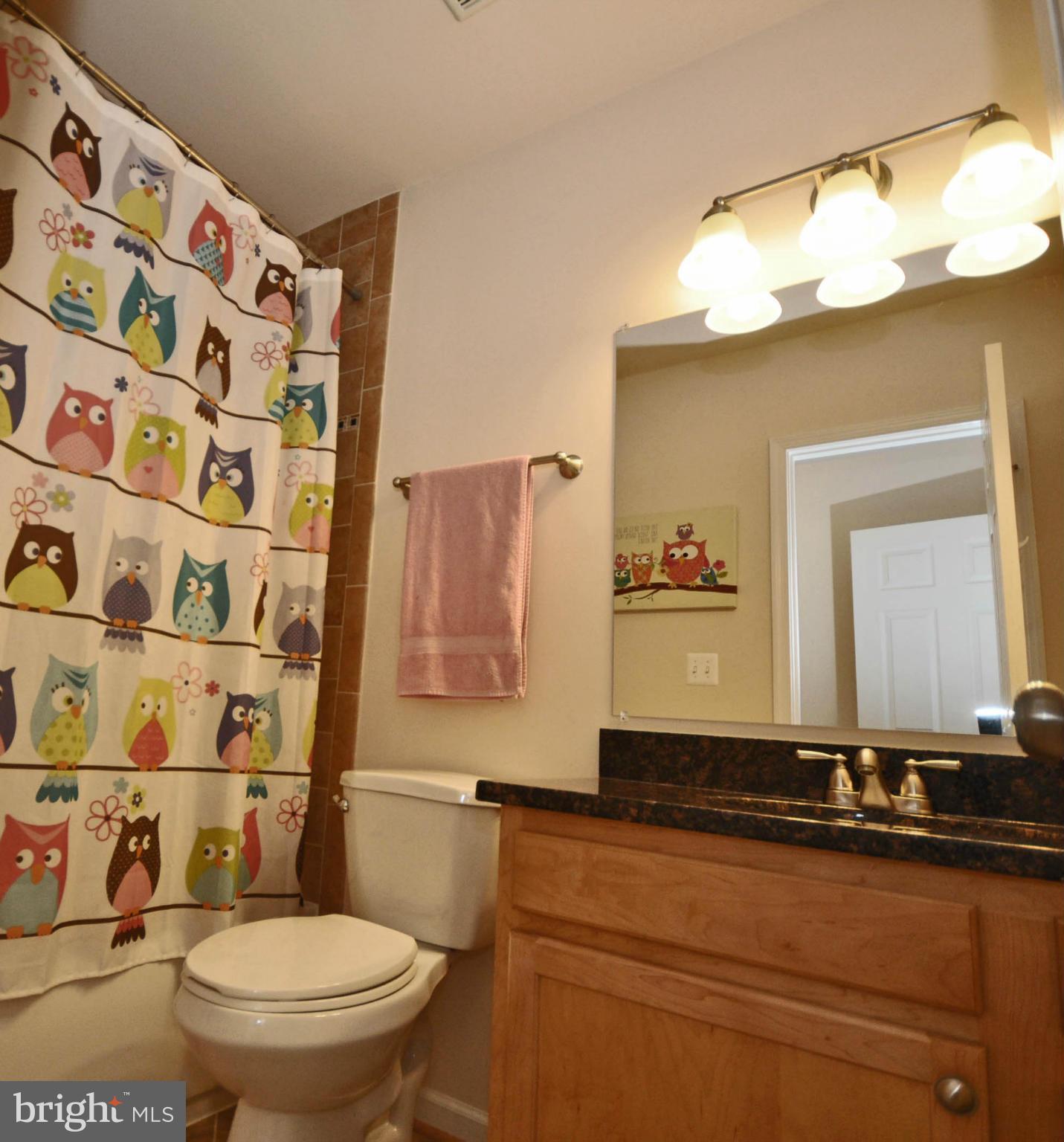 6160 Howells Road Alexandria, VA 22310 - Photo 23 of 30 Bath