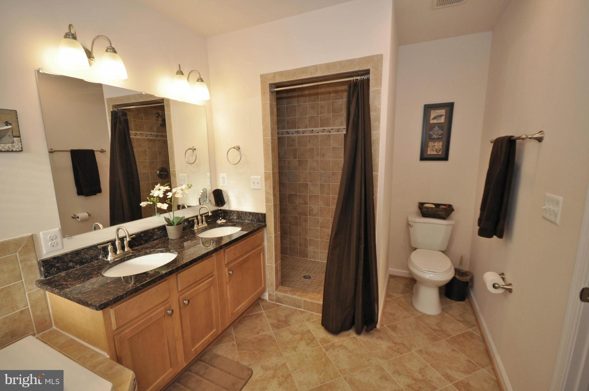 6160 Howells Road Alexandria, VA 22310 - Photo 27 of 30 Bath (Master)