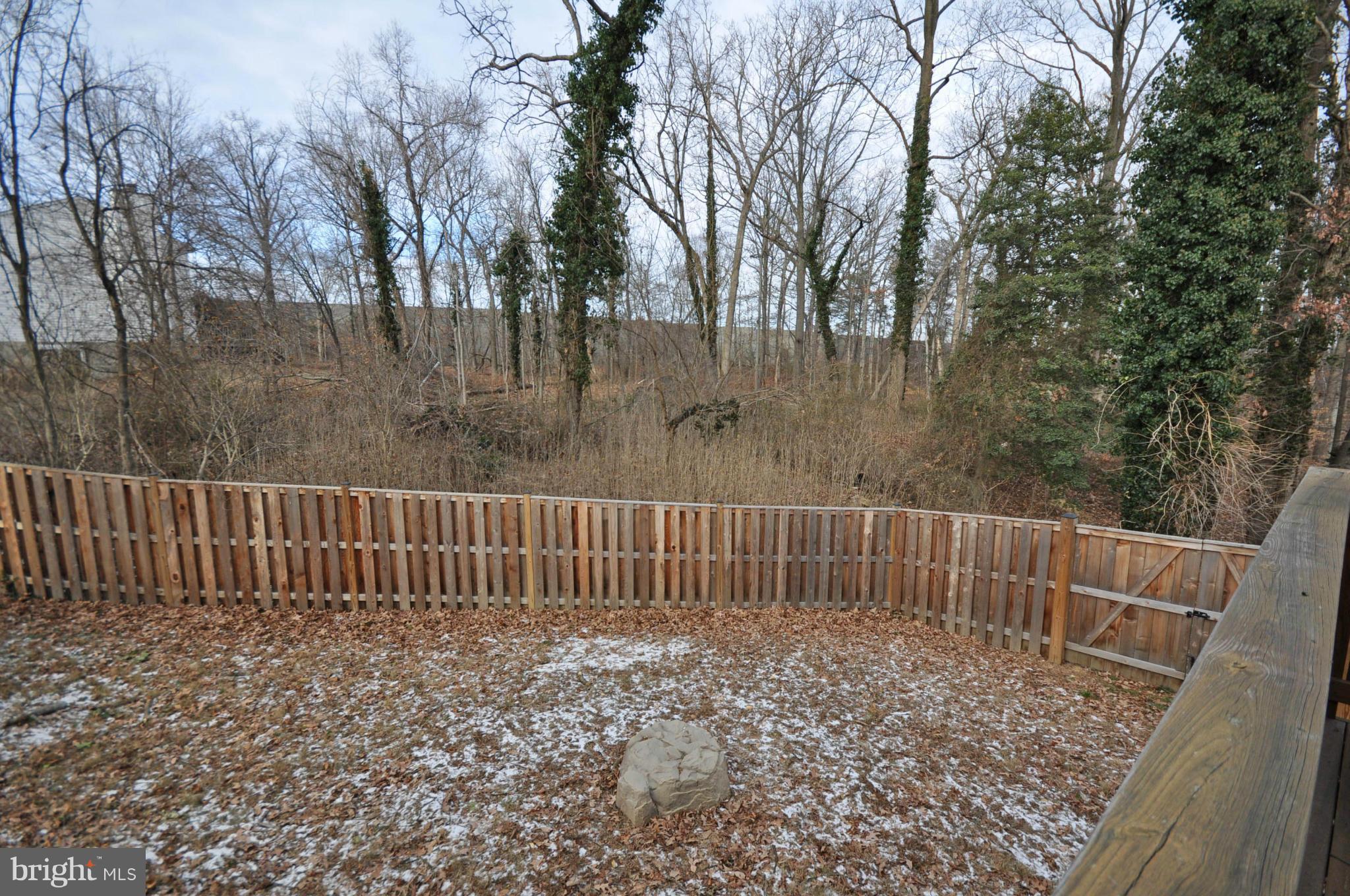 6160 Howells Road Alexandria, VA 22310 - Photo 29 of 30 Exterior (Rear)