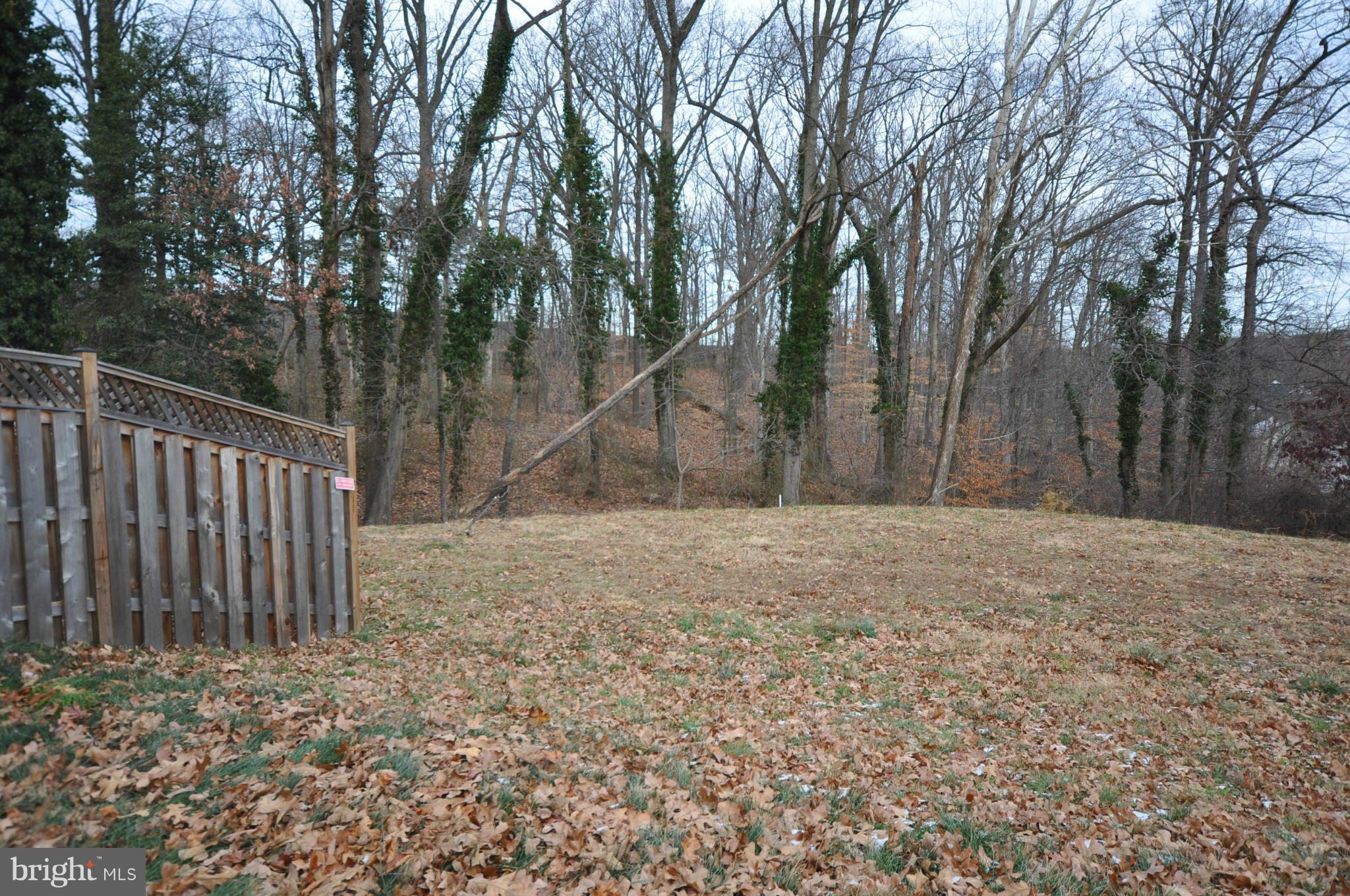 6160 Howells Road Alexandria, VA 22310 - Photo 30 of 30 Exterior (General)