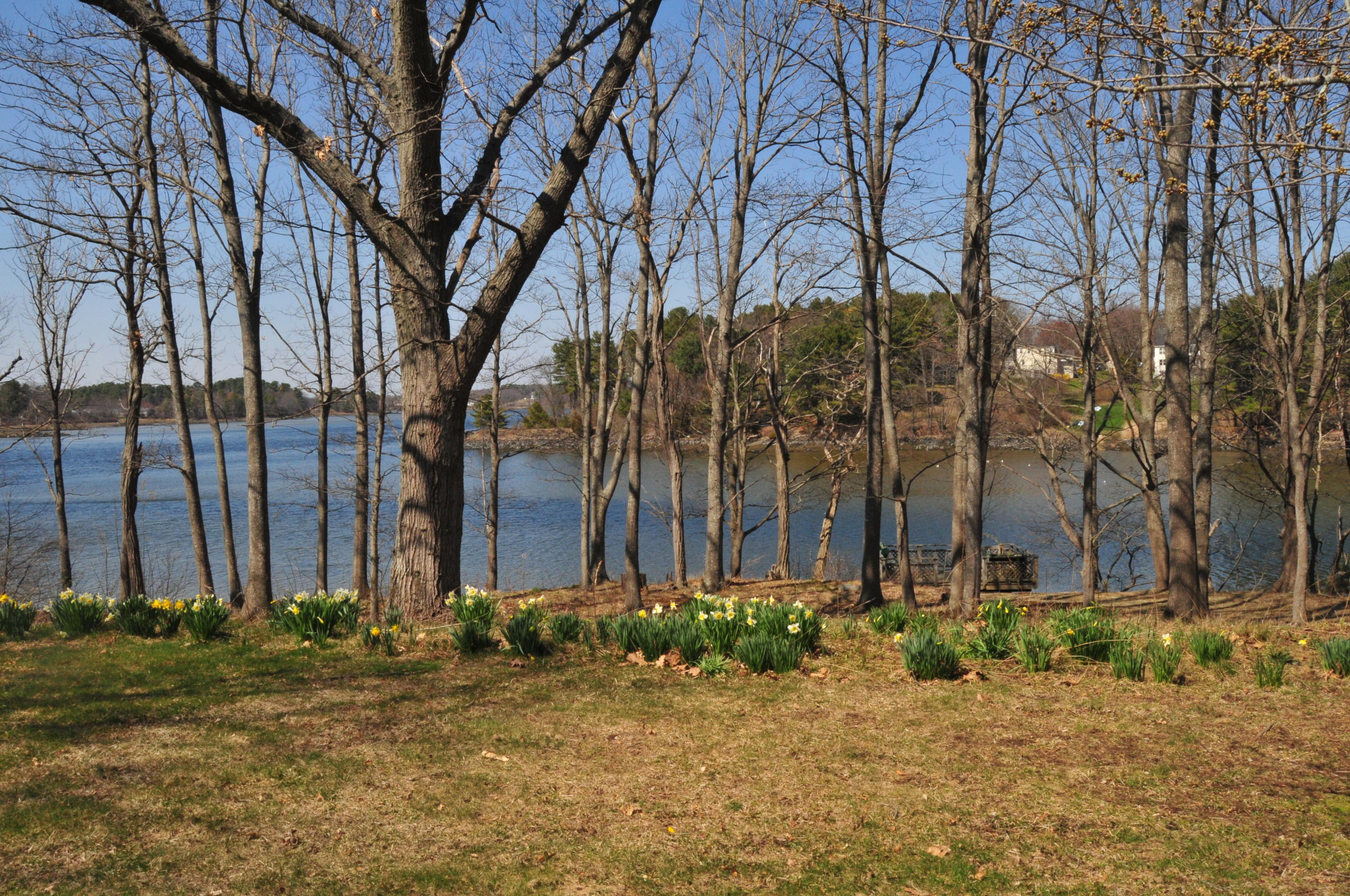 9 Pepperrell Road Kittery Point, ME 03905 - Photo 7 of 21 DSC_2535
