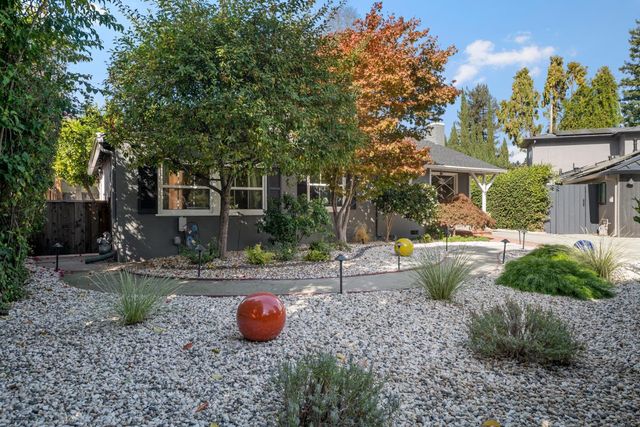 a view of a backyard with plants and trees