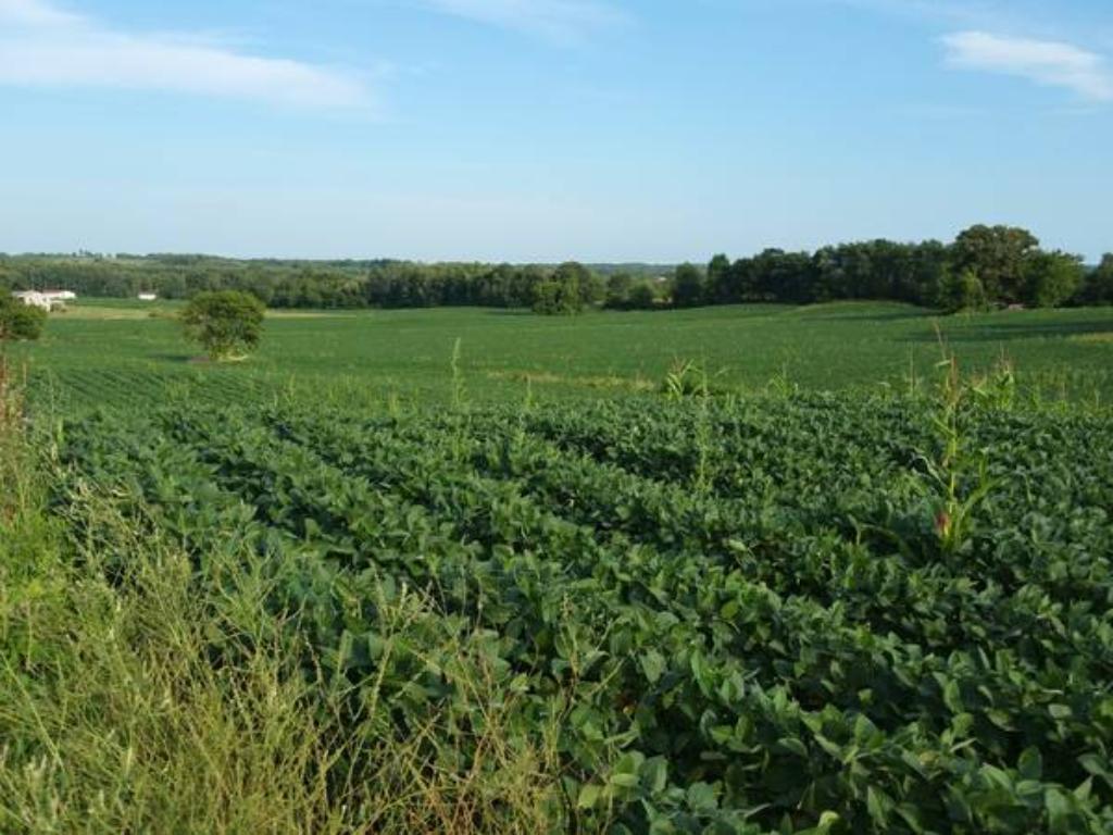 Lot 5 County Road Wilson, WI 54027 - Photo 1 of 1
