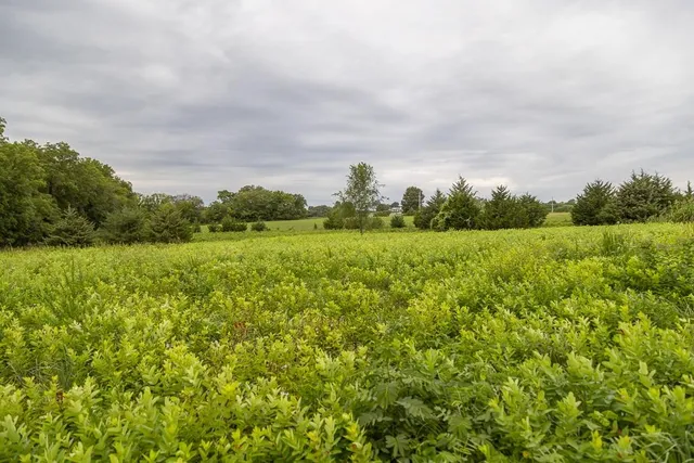 $565,000 | 25145 Metcalf Road, Louisburg, KS 66053