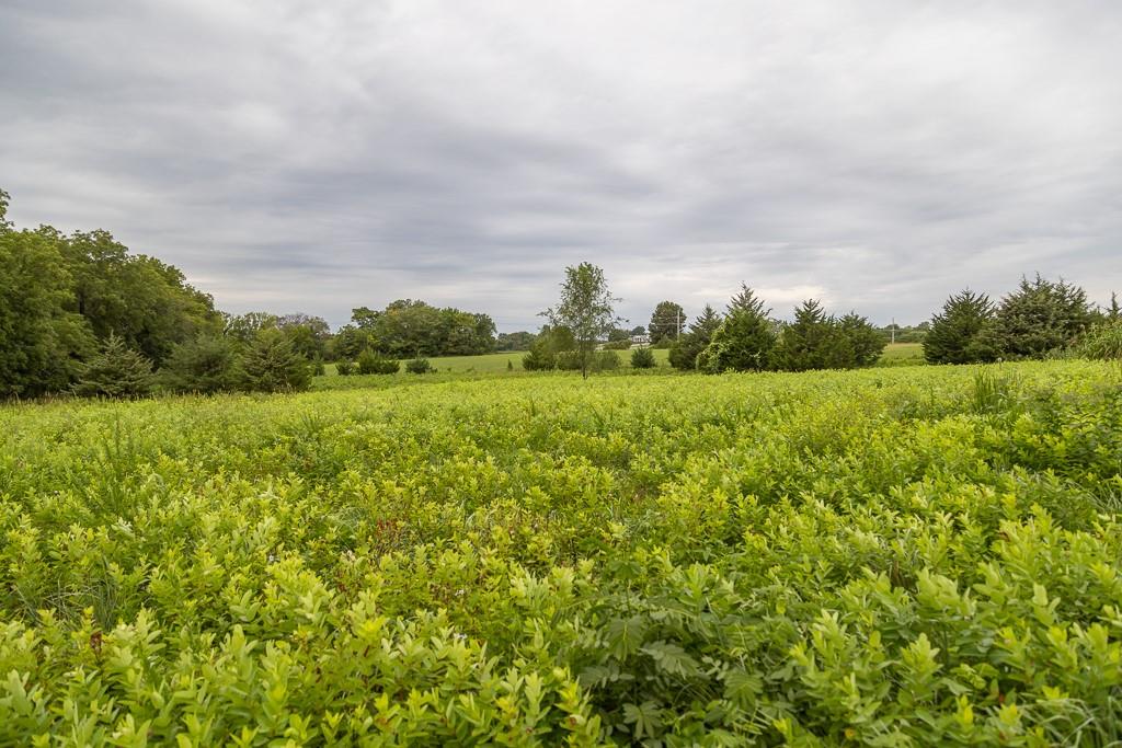 25145 Metcalf Road Louisburg, KS 66053 - Photo 15 of 25