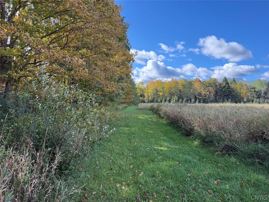 Hooker Hill Road Gowanda, NY 14070 - Photo 28 of 37 Gallery Image 28