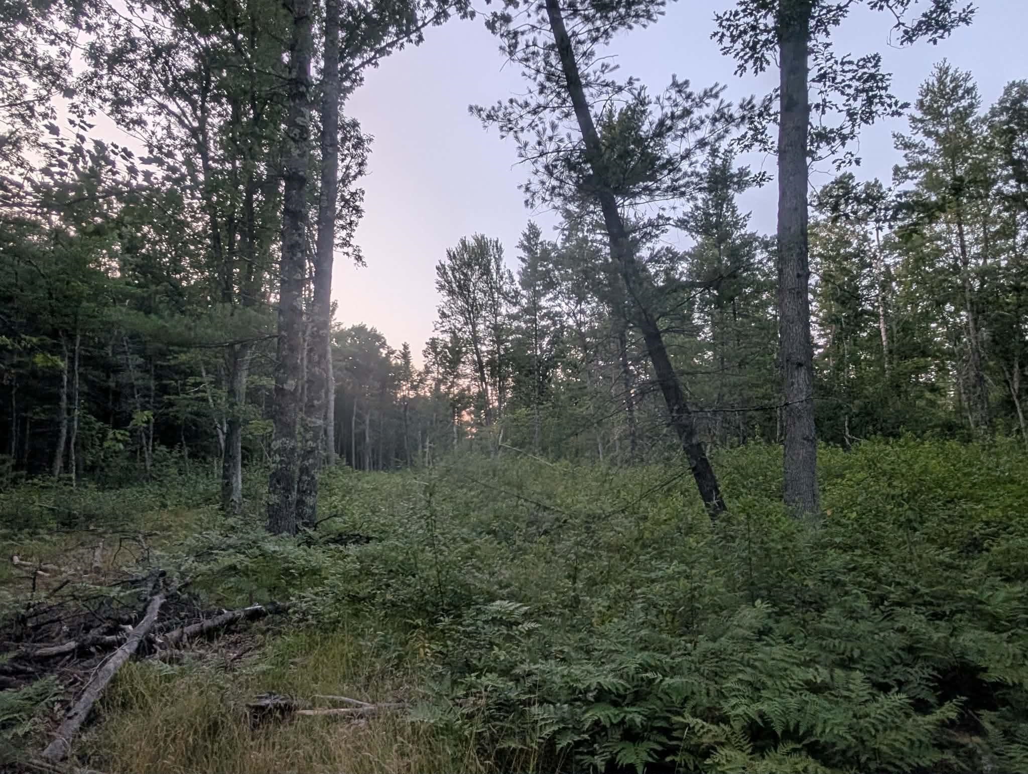 48 West 48 1/2 Road Wellston, MI 49689 - Photo 7 of 12 1948446-8bc2179d-caa4-44ad-91dd-f052ccf4b210.JPG