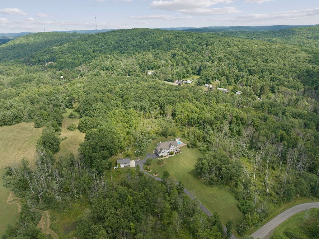 78 Brown Road Vestal, NY 13850 - Photo 10 of 48