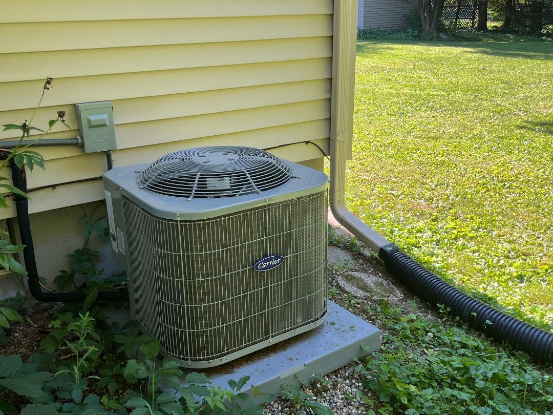 126 Johnson Street Edmore, MI 48829 - Photo 10 of 33 johnson 7