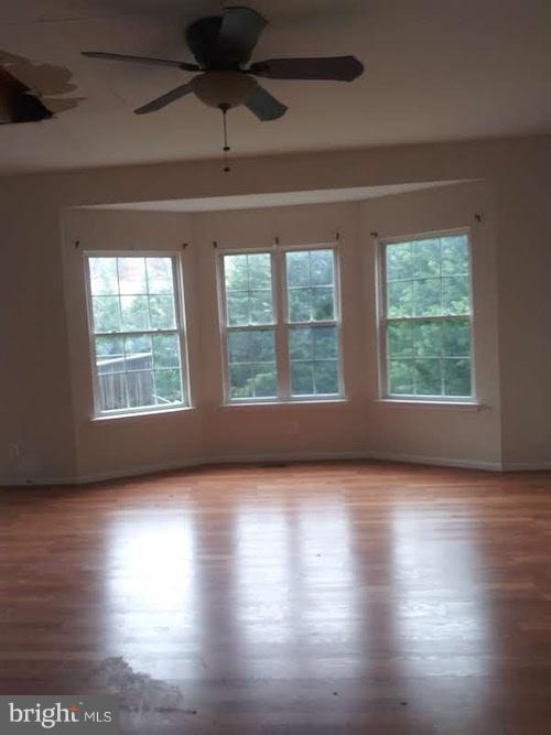 1625 Turkey Point Road Baltimore, MD 21221 - Photo 2 of 7 living room
