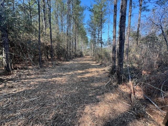 25-ac Smyrna Road Florala, AL 36442 - Photo 6 of 36 Gallery Image 6