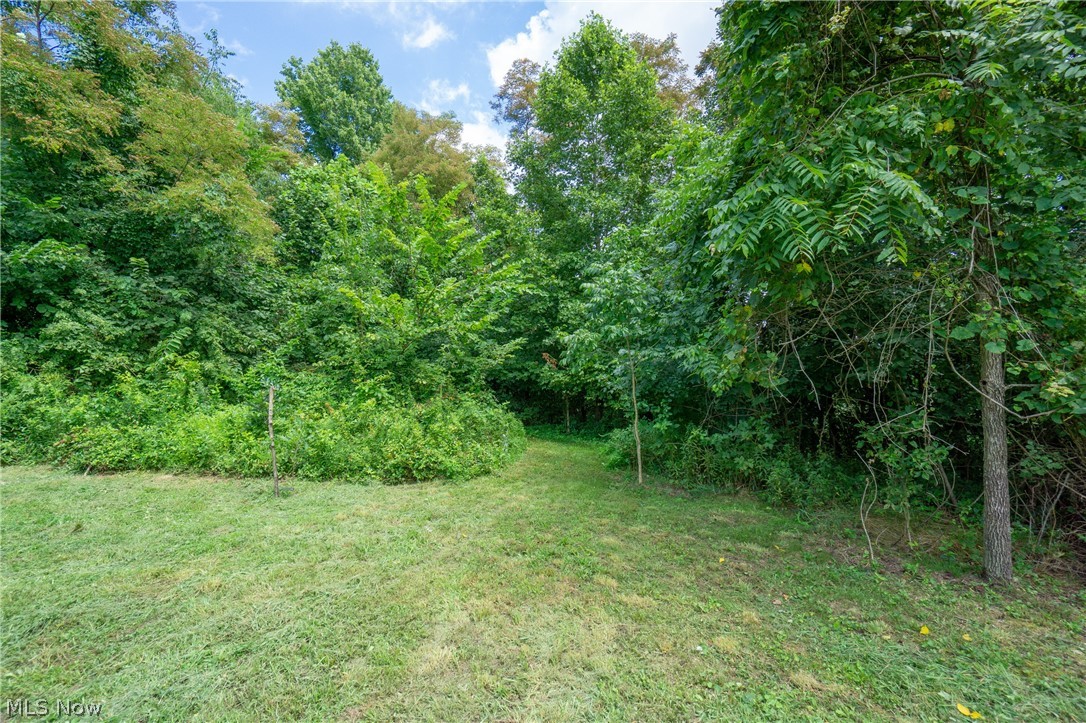 44892 Crothers Road Clarington, OH 43915 - Photo 14 of 34 Gallery Image 14