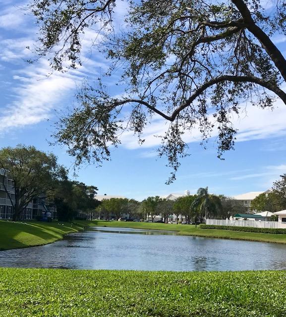 6205 Balboa Circle, Unit 403 Boca Raton, FL 33433 - Photo 29 of 37 whitehall42