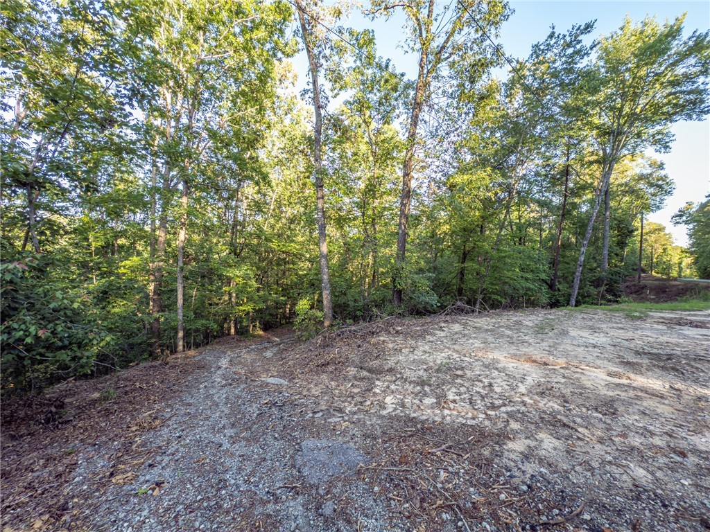 Lot 22 Old Shallowford Bridge Road Sunset, SC 29685 - Photo 2 of 15