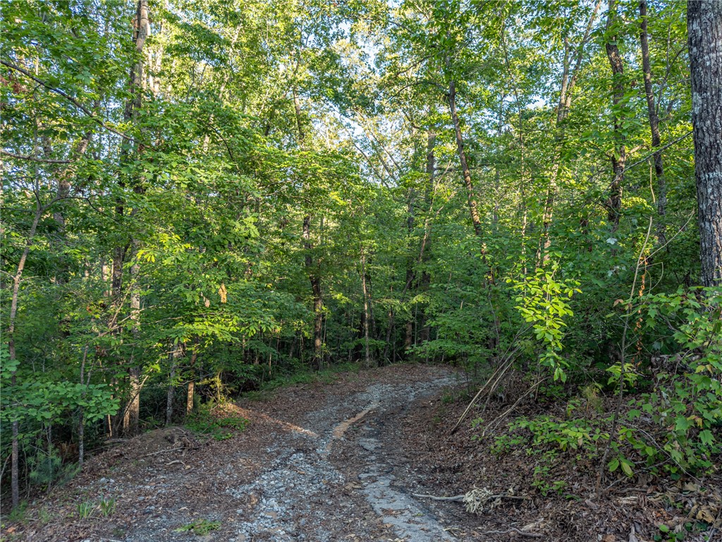 Lot 22 Old Shallowford Bridge Road Sunset, SC 29685 - Photo 4 of 15