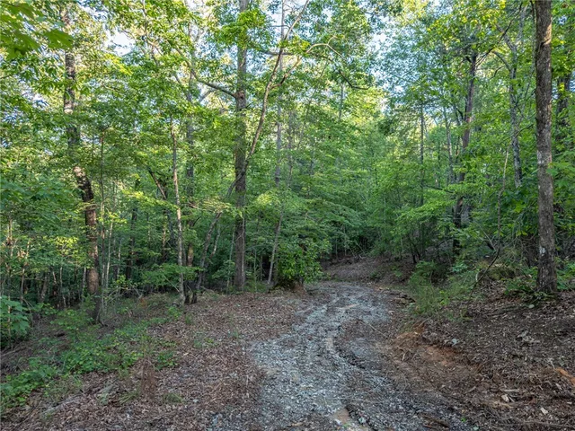 $69,000 | Lot 22 Old Shallowford Bridge Road, Sunset, SC 29685