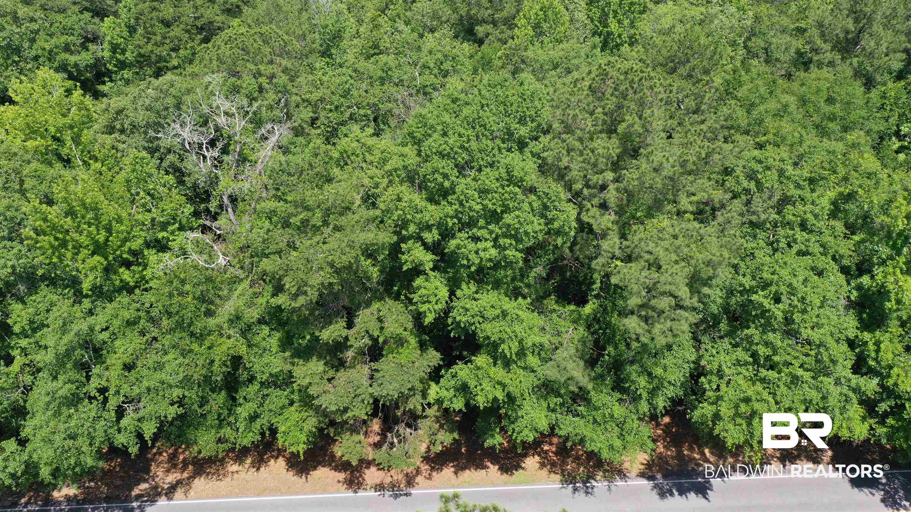 1 Jay Road Brewton, AL 36426 - Photo 8 of 14