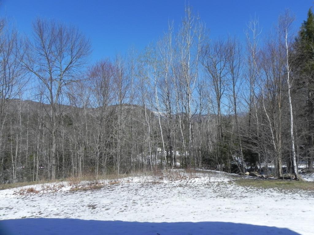 B6 Christmas Mountain Road, Unit B6 Intervale, NH 03845 - Photo 30 of 30 Gallery Image 30