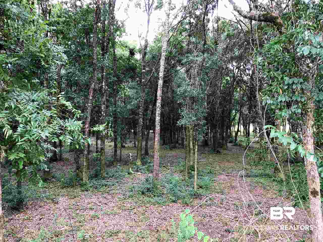 16440 Newman Road Summerdale, AL 36580 - Photo 27 of 29
