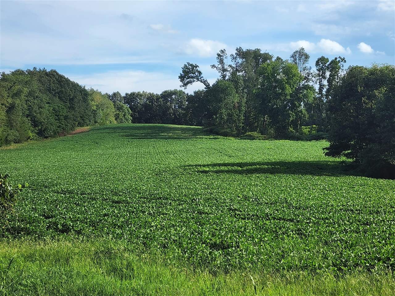 850 Rufus Dison Road Franklin, KY 42134 - Photo 1 of 1 Gallery Image 1