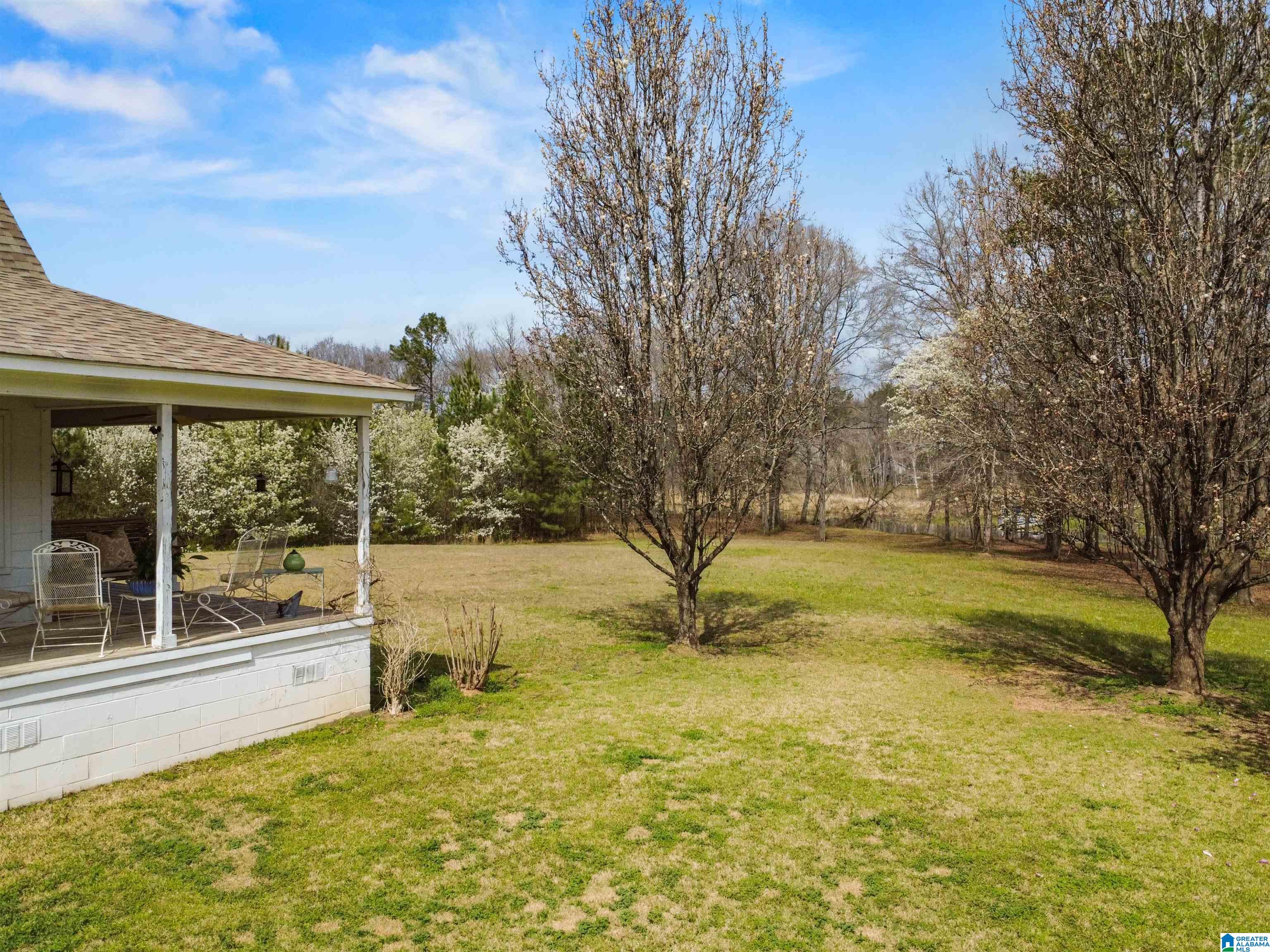 198 Heasletts Road Childersburg, AL 35044 - Photo 40 of 43