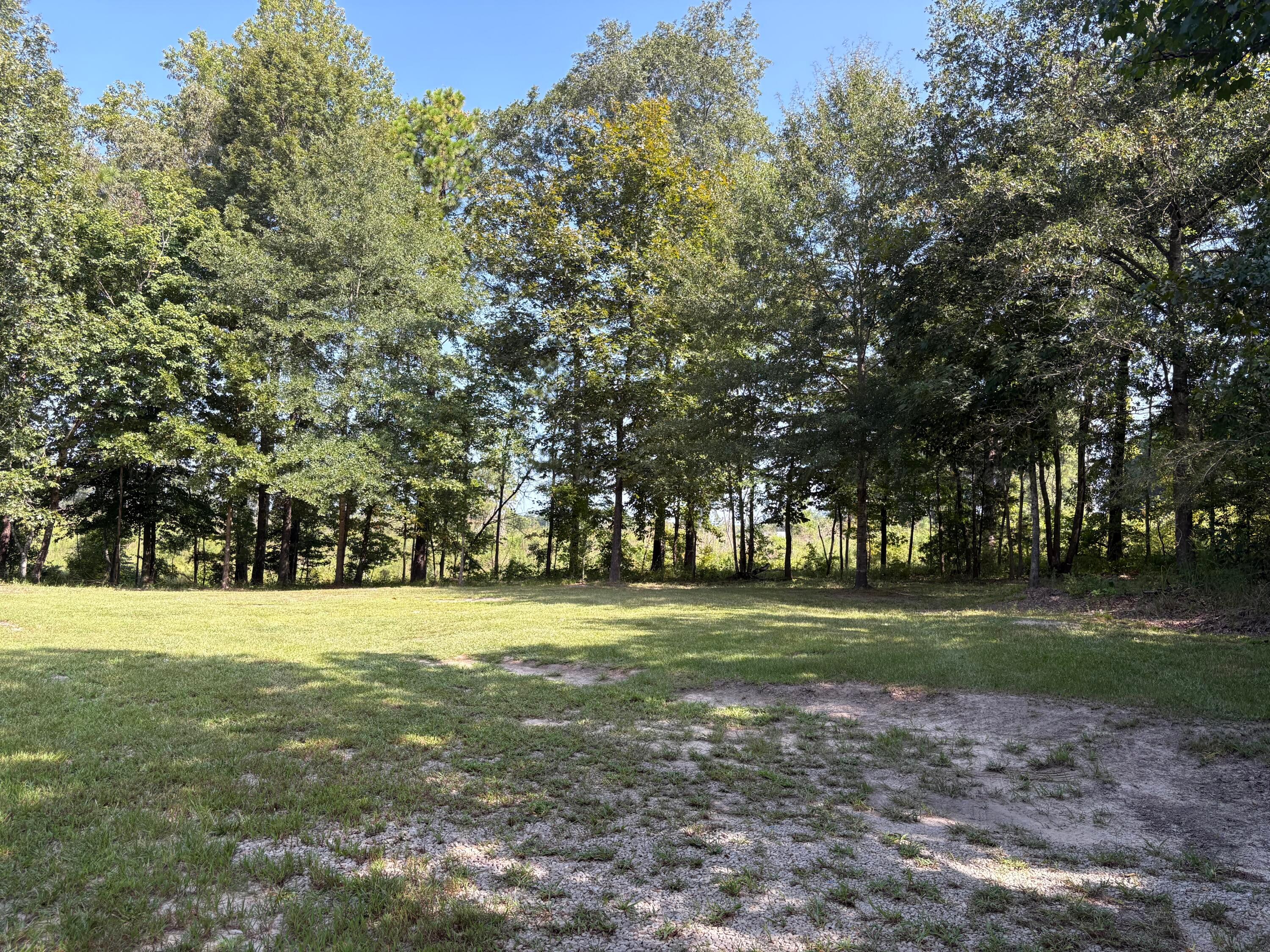 3331 Bird Farm Road Jasper, AL 35503 - Photo 15 of 17 Gallery Image 15
