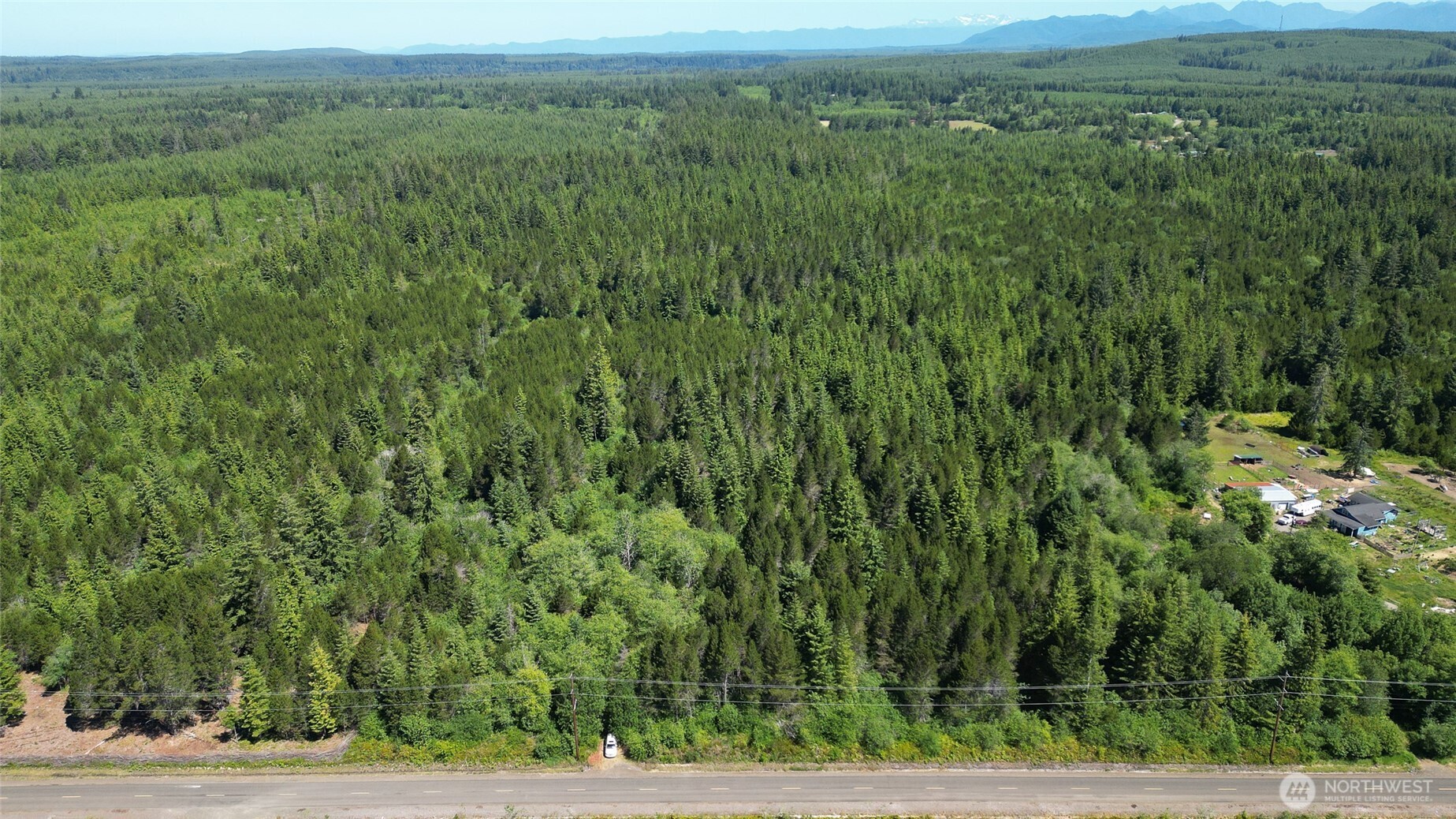 256 Walker Road Hoquiam, WA 98550 - Photo 13 of 19 a view of a lush green field