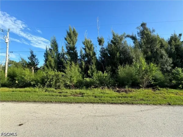 $20,000 | 3486 Papaya Street, St. James City, FL 33956