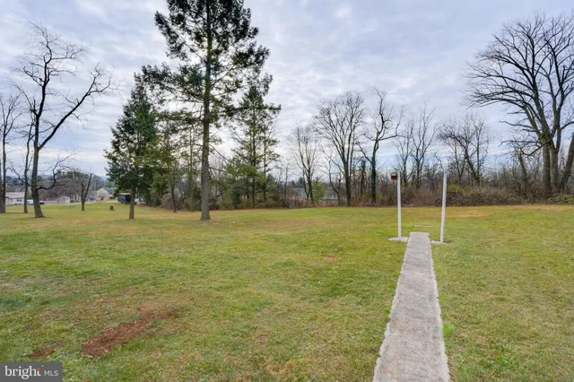 a view of a park with large trees